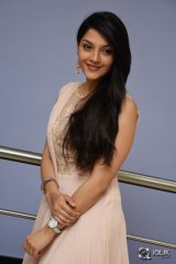 Mehreen at Krishna Gadi Veera Prema Gaadha Movie Thanks Meet